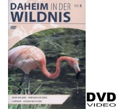 Daheim in der Wildnis - Vol. 06
