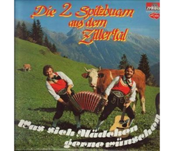 Die 2 Spitzbuam - Was sich Mdchen gerne wnschen 1982 LP...