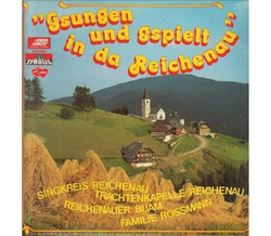Singkreis Reichenau - Gsungen und gspielt in da Reichenau...