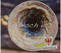 Blaskapelle Gehrsturz - Spinnsch iatz?